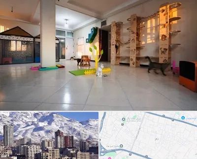 پانسیون گربه در ازگل