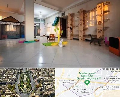 پانسیون گربه در نارمک 