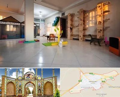 پانسیون گربه در سمنان