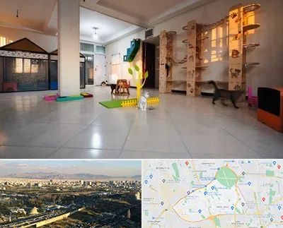 پانسیون گربه در منطقه 19 تهران
