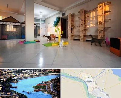 پانسیون گربه در خرمشهر