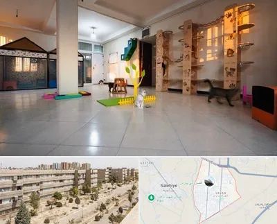 پانسیون گربه در واوان اسلامشهر