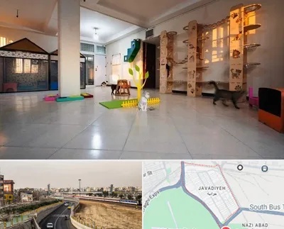 پانسیون گربه در جوادیه