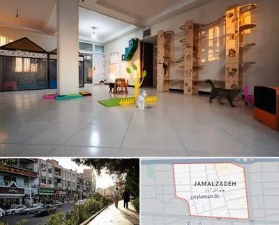 پانسیون گربه در خیابان جمالزاده