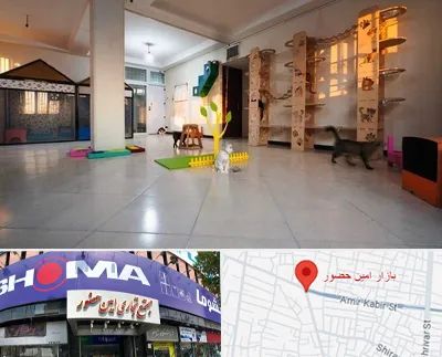 پانسیون گربه در امین حضور