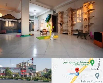 پانسیون گربه در هروی 