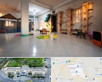 پانسیون گربه در نسیم شهر