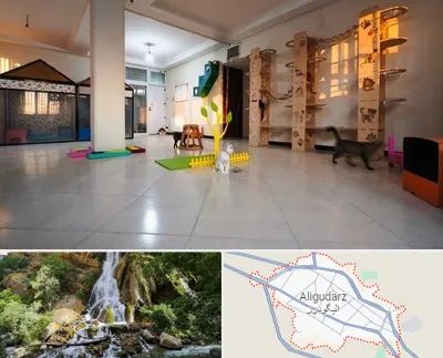 پانسیون گربه در الیگودرز