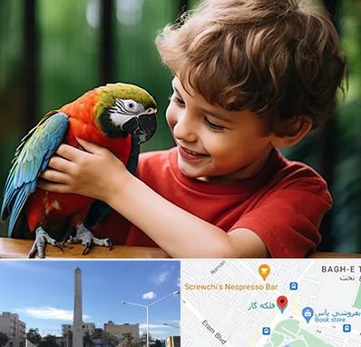 پانسیون پرندگان در فلکه گاز شیراز 