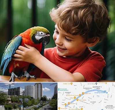 پانسیون پرندگان در اندرزگو 