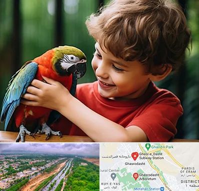 پانسیون پرندگان در قصرالدشت شیراز 