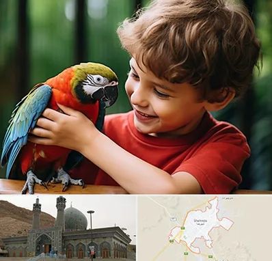 پانسیون پرندگان در شهرضا