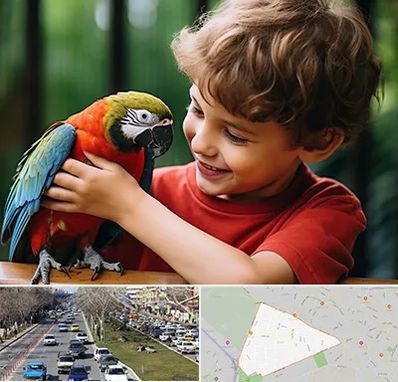 پانسیون پرندگان در احمدآباد مشهد 