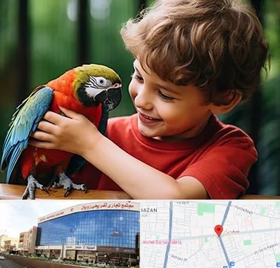 پانسیون پرندگان در نصف راه تبریز