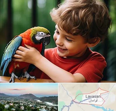 پانسیون پرندگان در لواسان