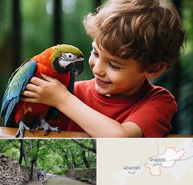 پانسیون پرندگان در شاندیز مشهد