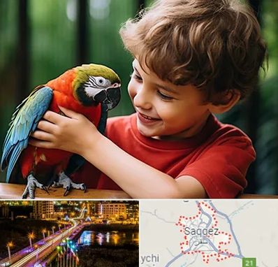 پانسیون پرندگان در سقز