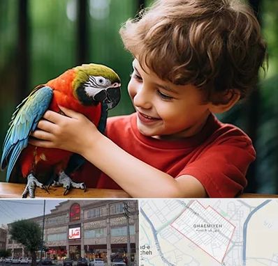 پانسیون پرندگان در قائمیه اسلامشهر