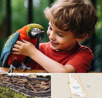 پانسیون پرندگان در شاهین شهر