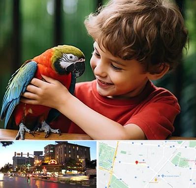 پانسیون پرندگان در بلوار سجاد مشهد 