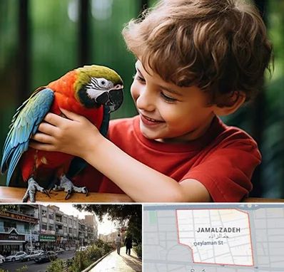 پانسیون پرندگان در خیابان جمالزاده
