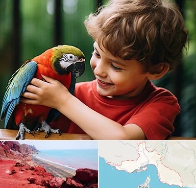 پانسیون پرندگان در هرمزگان