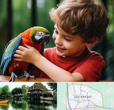 پانسیون پرندگان در صومعه سرا