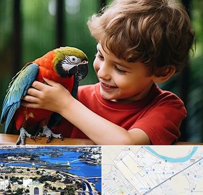 پانسیون پرندگان در کوروش اهواز 