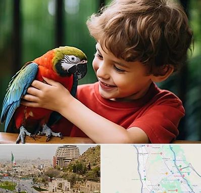 پانسیون پرندگان در فرهنگ شهر شیراز 