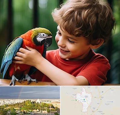 پانسیون پرندگان در تربت حیدریه