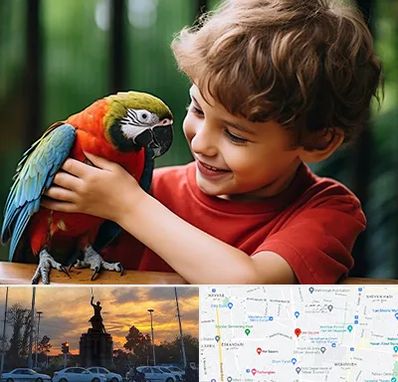 پانسیون پرندگان در میدان حر 