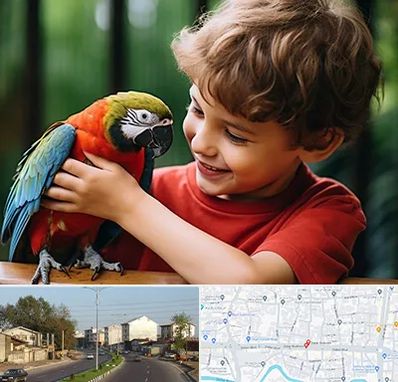 پانسیون پرندگان در ضیابری رشت 