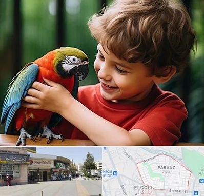 پانسیون پرندگان در پرواز تبریز