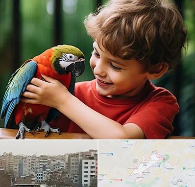 پانسیون پرندگان در محمد شهر کرج 