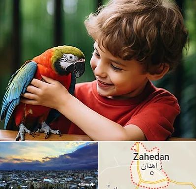 پانسیون پرندگان در زاهدان