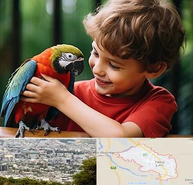 پانسیون پرندگان در یاسوج