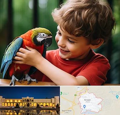 پانسیون پرندگان در برازجان