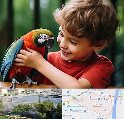 پانسیون پرندگان در گلستان اهواز 