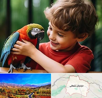پانسیون پرندگان در خراسان شمالی