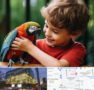 پانسیون پرندگان در جمهوری 