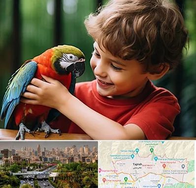 پانسیون پرندگان در منطقه 1 تهران 