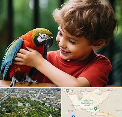 پانسیون پرندگان در شهرکرد