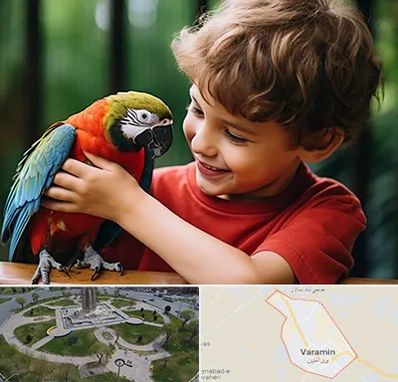 پانسیون پرندگان در ورامین