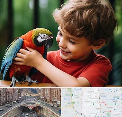 پانسیون پرندگان در منطقه 10 تهران 