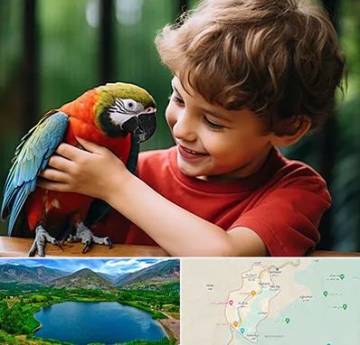 پانسیون پرندگان در رودبار