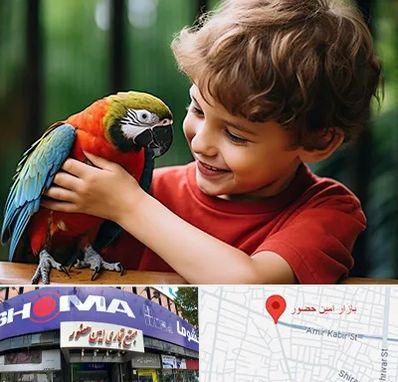 پانسیون پرندگان در امین حضور