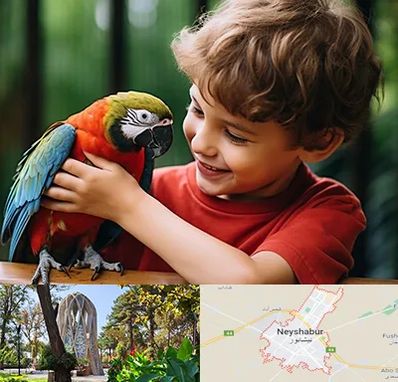 پانسیون پرندگان در نیشابور