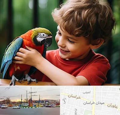 پانسیون پرندگان در میدان خراسان