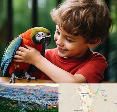 پانسیون پرندگان در سنندج