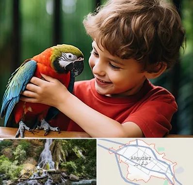 پانسیون پرندگان در الیگودرز